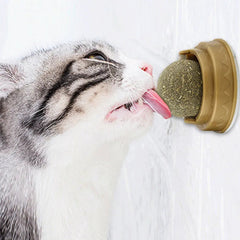 Catnip Balls Cat Treats: Fun, Healthy, and Irresistible for Your Cat š¾ (3pcs)Ā