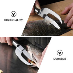 1+1 Free Today | Multi Functional Fish Scraper