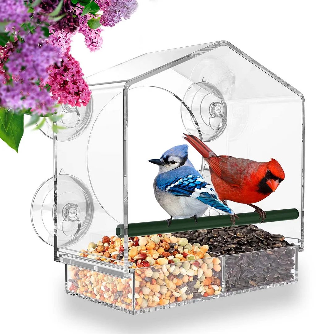 Breezy Window Bird Feeder | Clear Acrylic, Easy to Clean