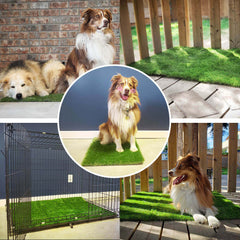 DwellTurf Indoor Dog Potty Mat | Washable Grass Relief Pads for Training
