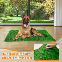 DwellTurf Indoor Dog Potty Mat | Washable Grass Relief Pads for Training