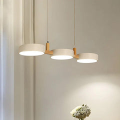 Modern Metal Pendant Ceiling Light with Nordic Design for Kitchen and Living Room