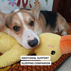 Quirky Duck Dog Toy | Durable Fabric, Quacking Sound