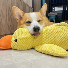 Quirky Duck Dog Toy | Durable Fabric, Quacking Sound