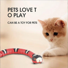 Vypra — Interactive USB Rechargeable Snake Cat Toy for Active Play