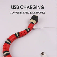 Vypra — Interactive USB Rechargeable Snake Cat Toy for Active Play