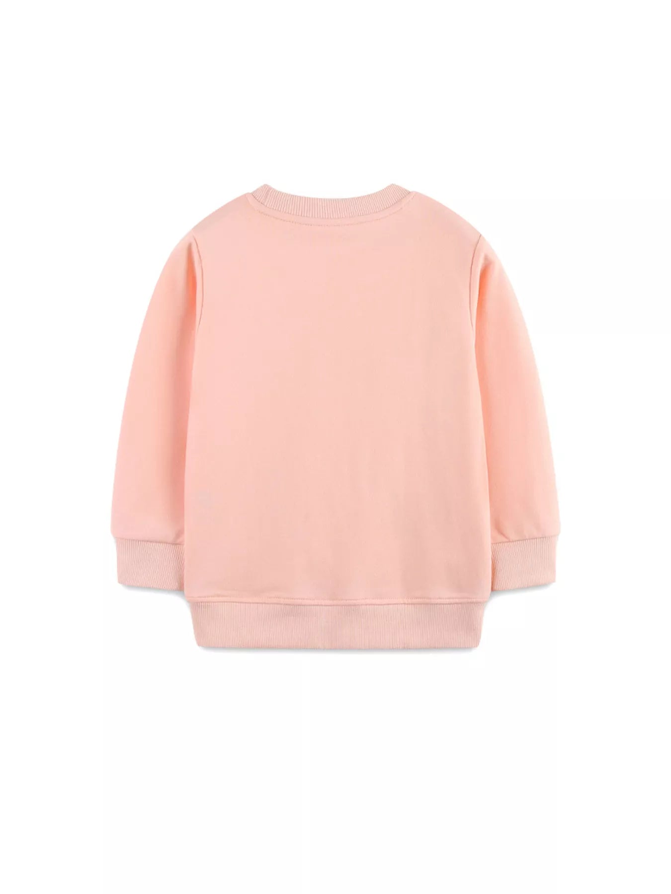Children's Cute Bunny Embroidered Round Neck Sweatshirt 