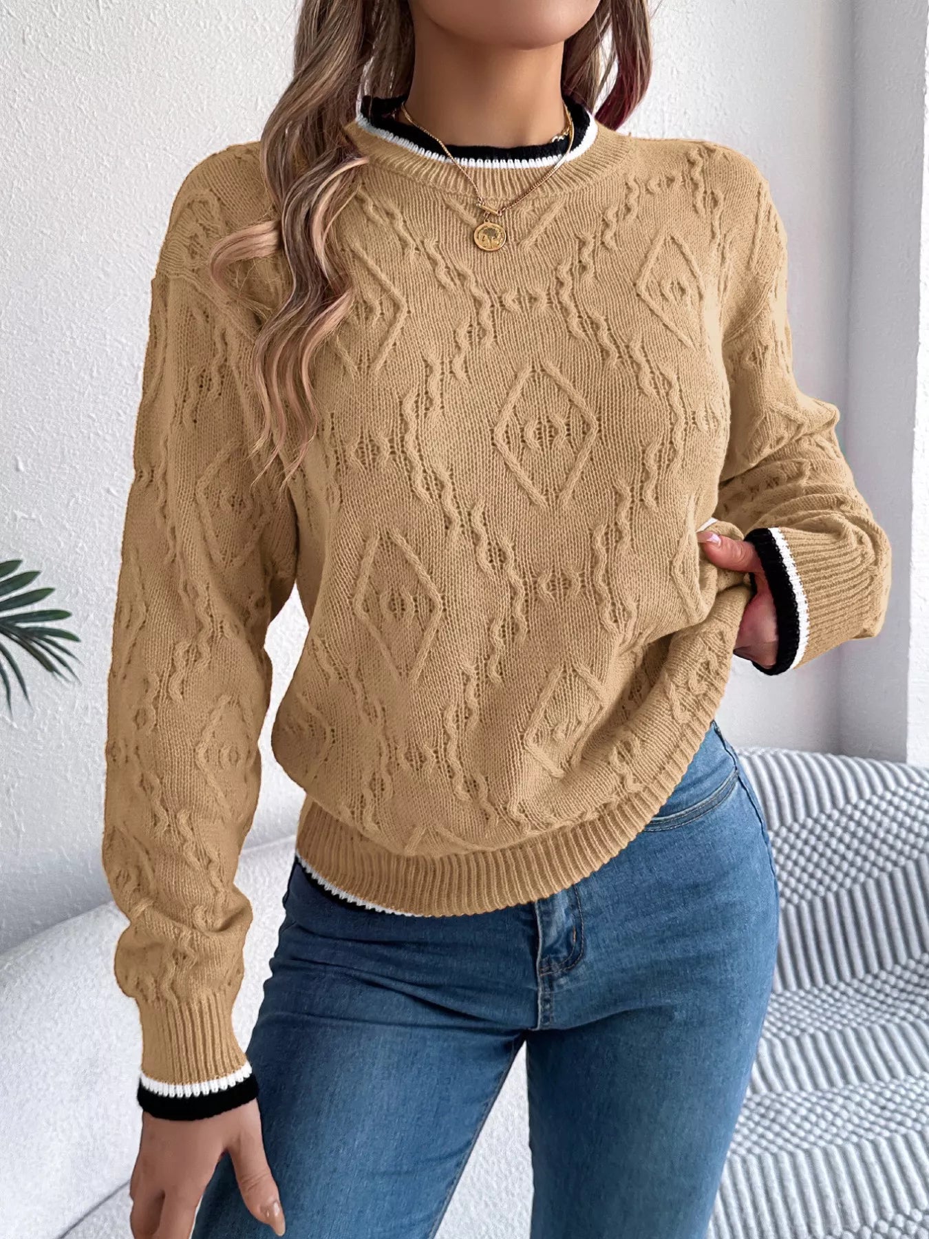 Contrast Trim Round Neck Sweater 