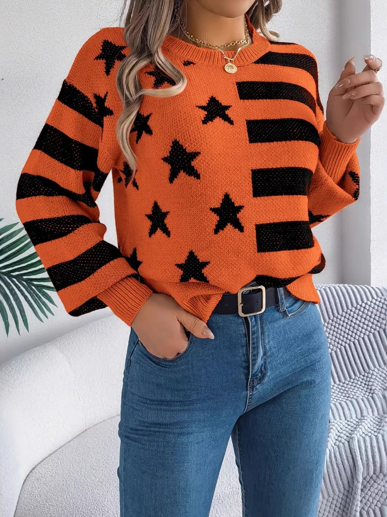 Stars and Stripes Pattern Casual Round Neck Sweater 