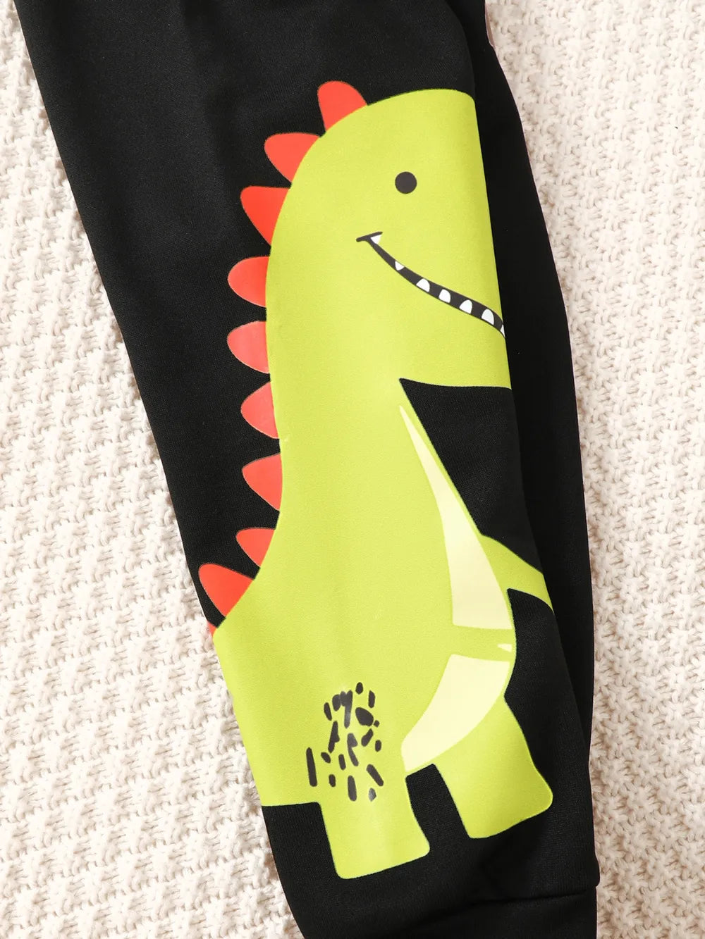 Children's Dinosaur Graphic Sweatshirt and Pants Set 