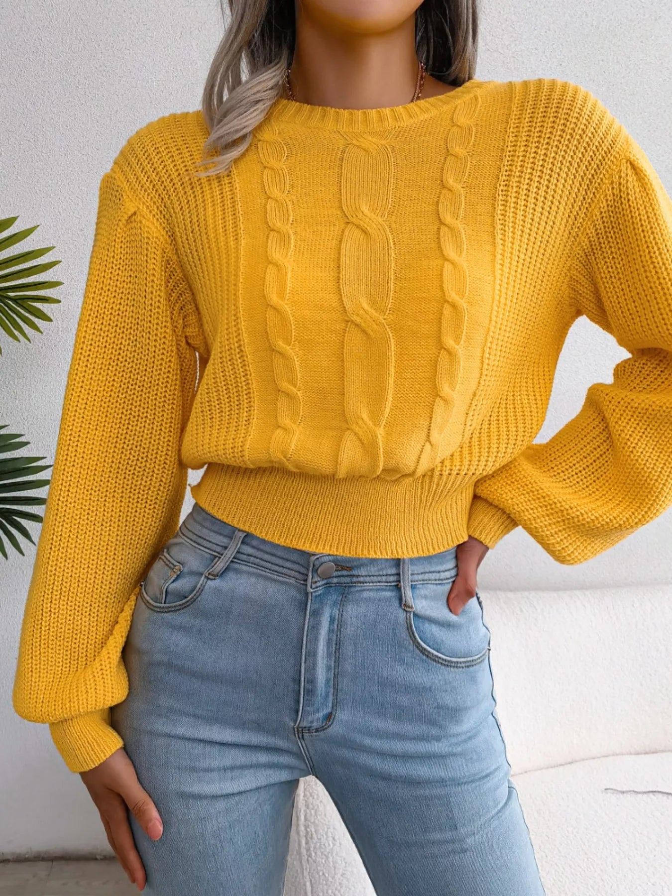 Cable Knit Round Neck Cropped Sweater 
