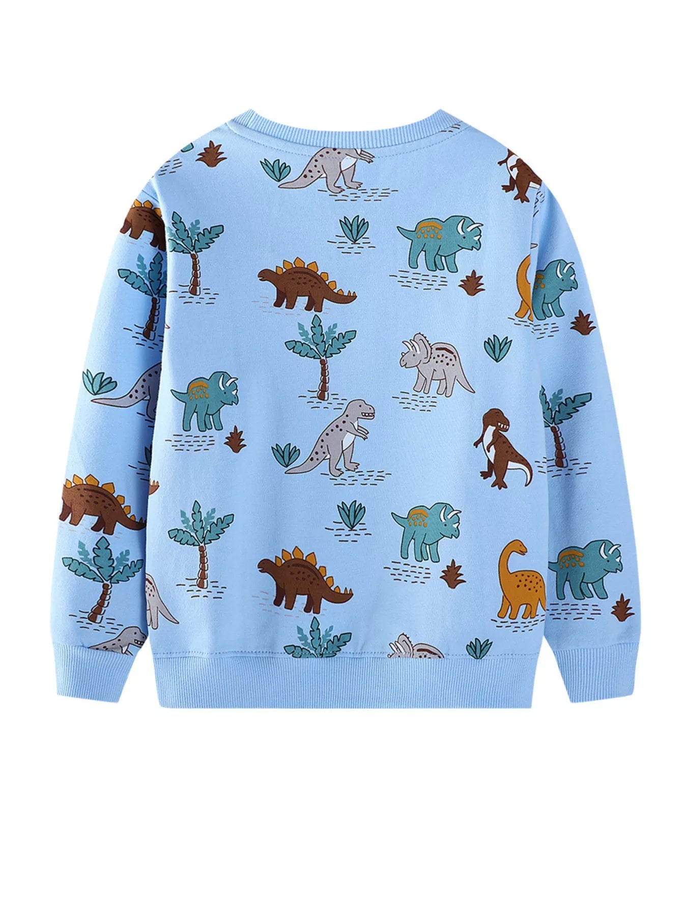 Children's Dinosaur Print Crew Neck Sweatshirt 