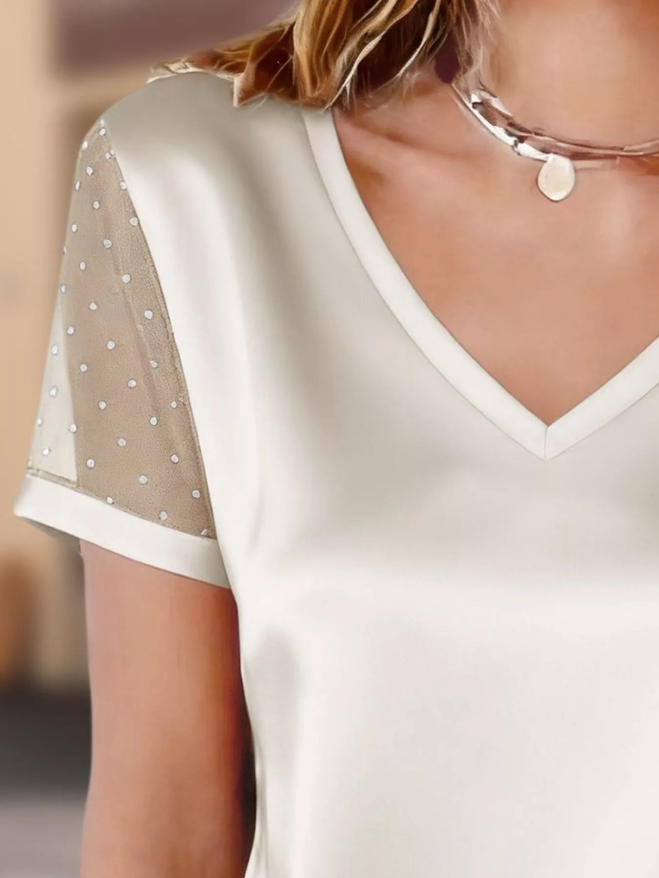 Sheer Sleeve V-Neck Top 