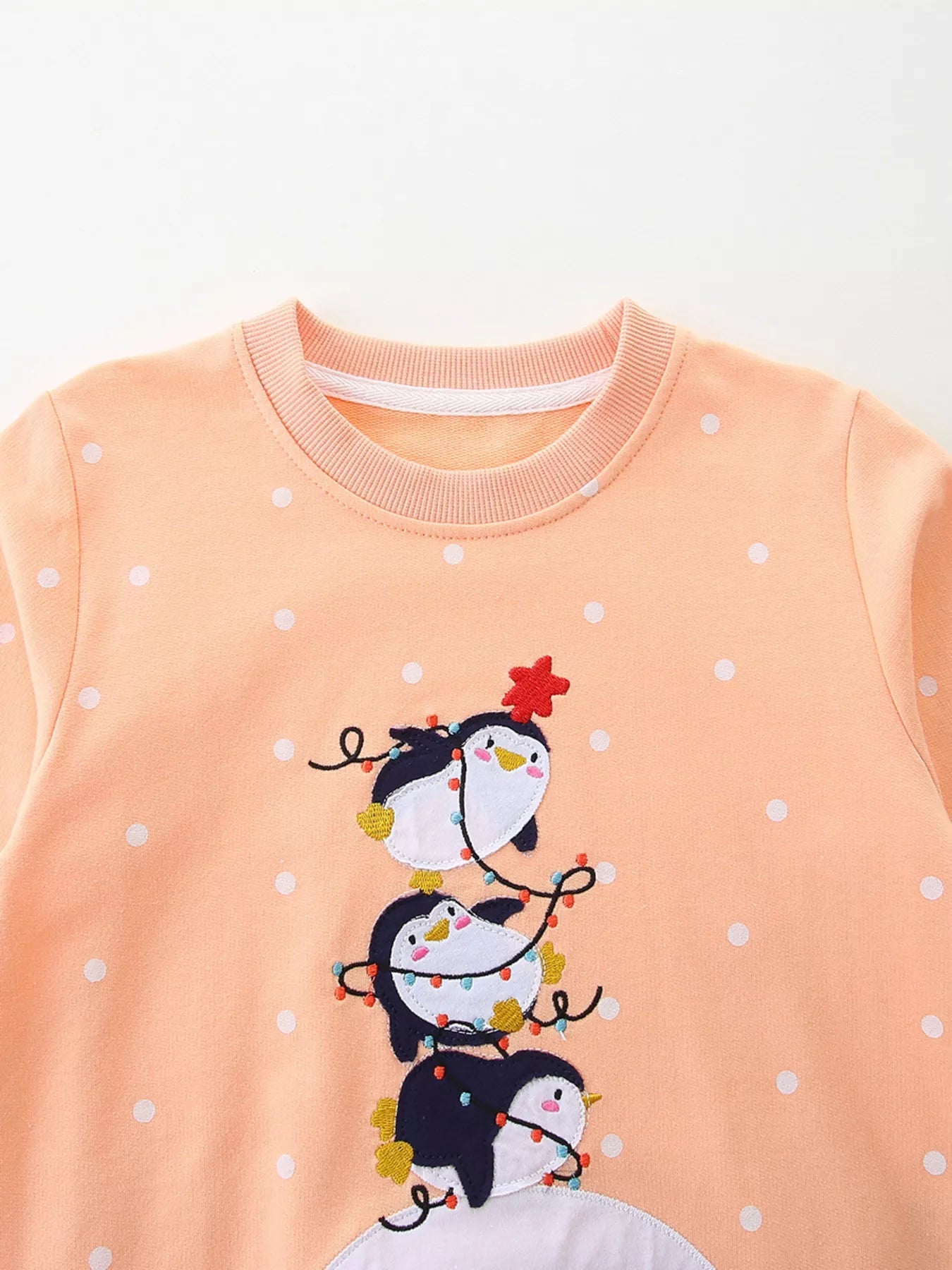 Children's Penguin Round Neck Sweatshirt 