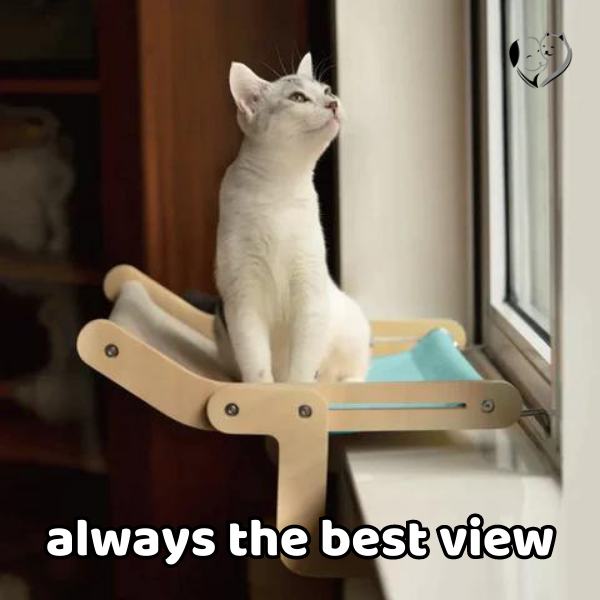 50% Off + Free Shipping Today | Cat lounge - hammock 