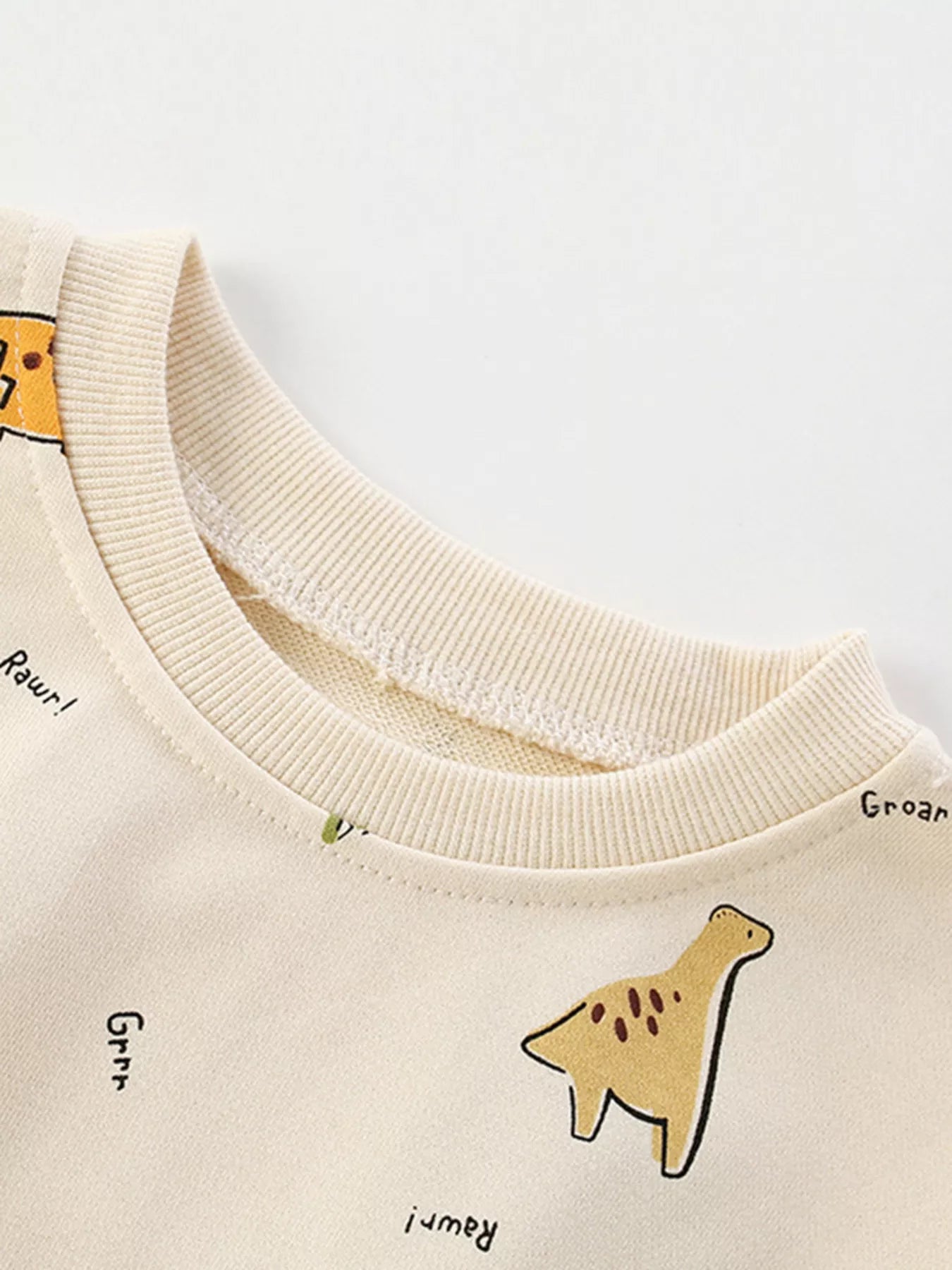 Children's Dinosaur Print Crew Neck Sweatshirt 