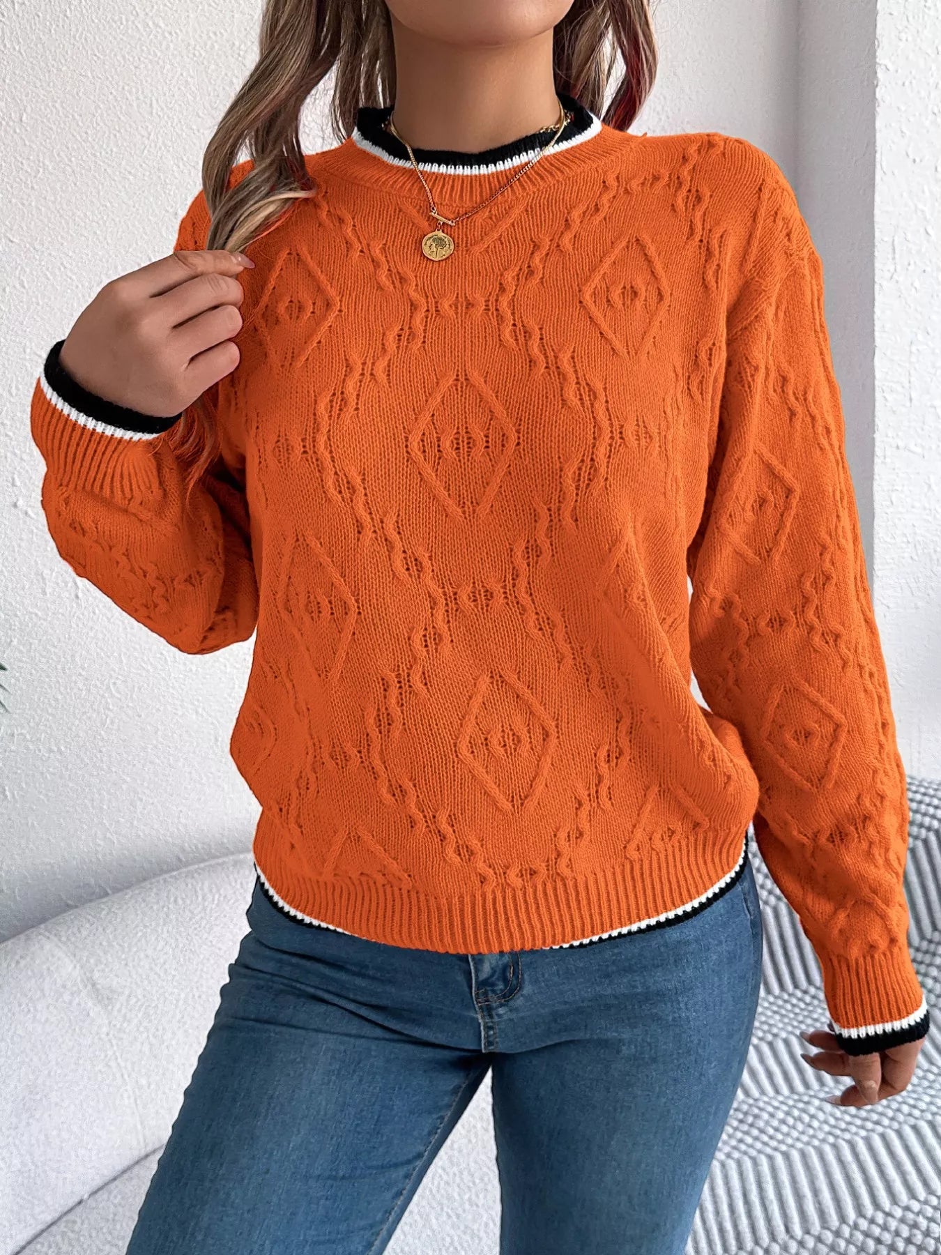 Contrast Trim Round Neck Sweater 