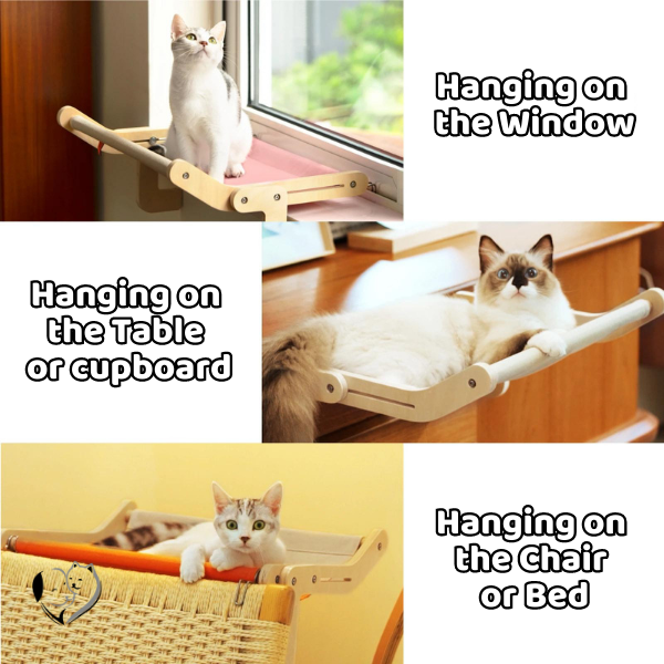 50% Off + Free Shipping Today | Cat lounge - hammock 