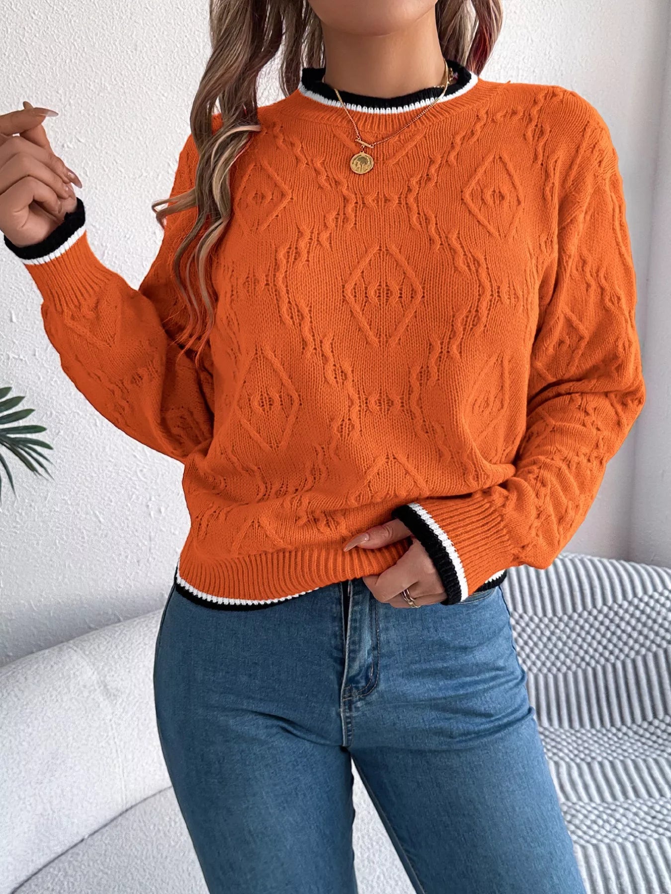 Contrast Trim Round Neck Sweater 