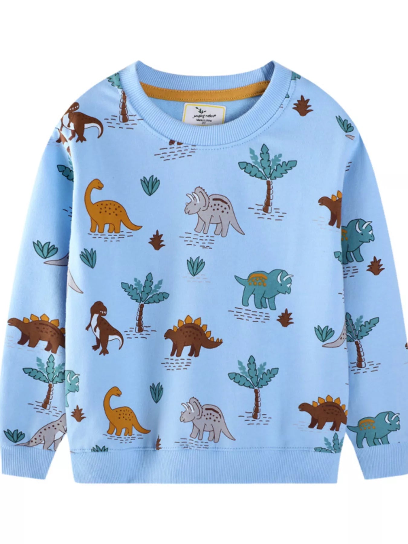 Children's Dinosaur Print Crew Neck Sweatshirt 