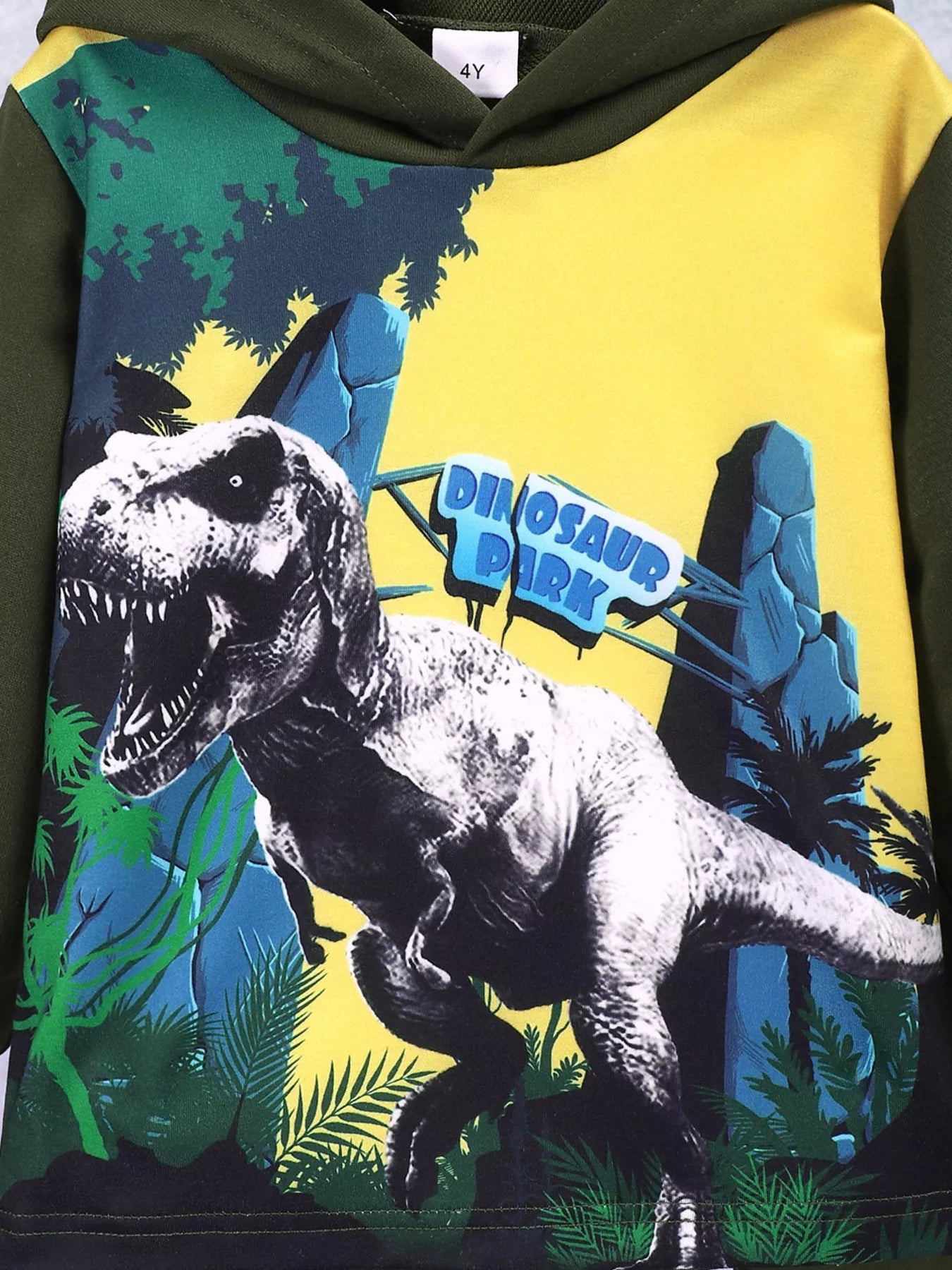Children's Dinosaur Park Hoodie and Pants Set 
