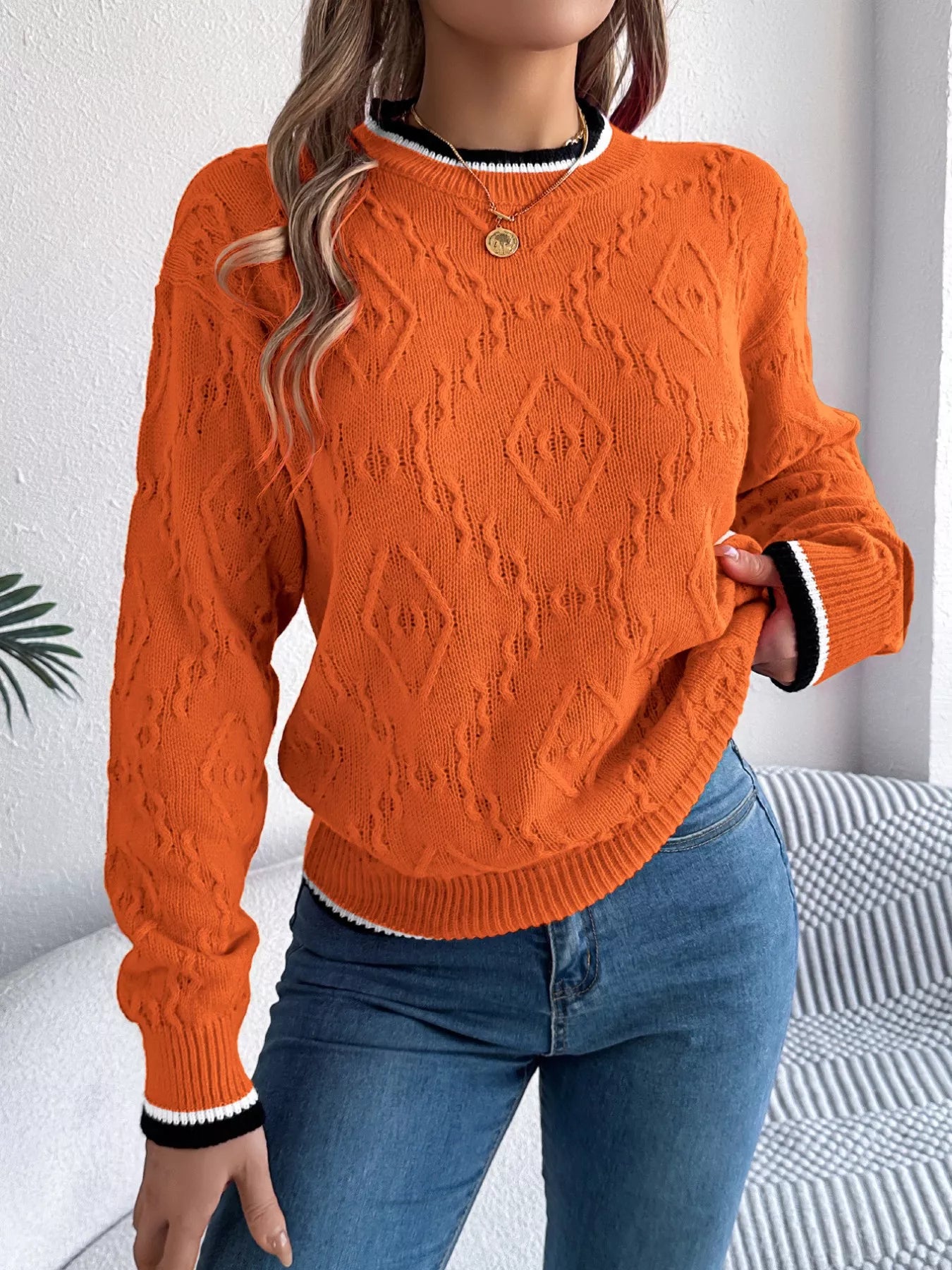 Contrast Trim Round Neck Sweater 