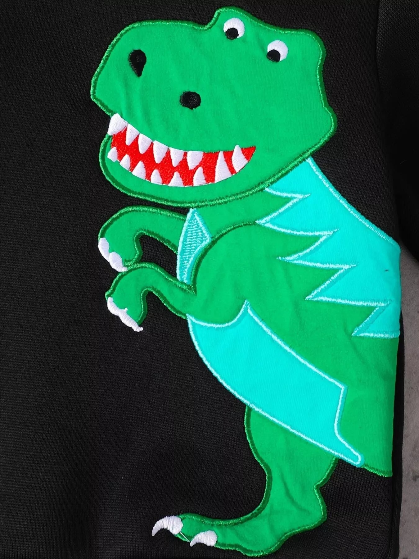 Children's Dinosaur Graphic Hoodie & Pants Set 