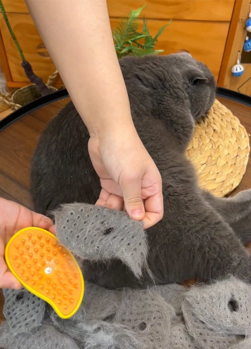 3-in-1 Pet Grooming Comb with Steam Spray for Shedding Control 