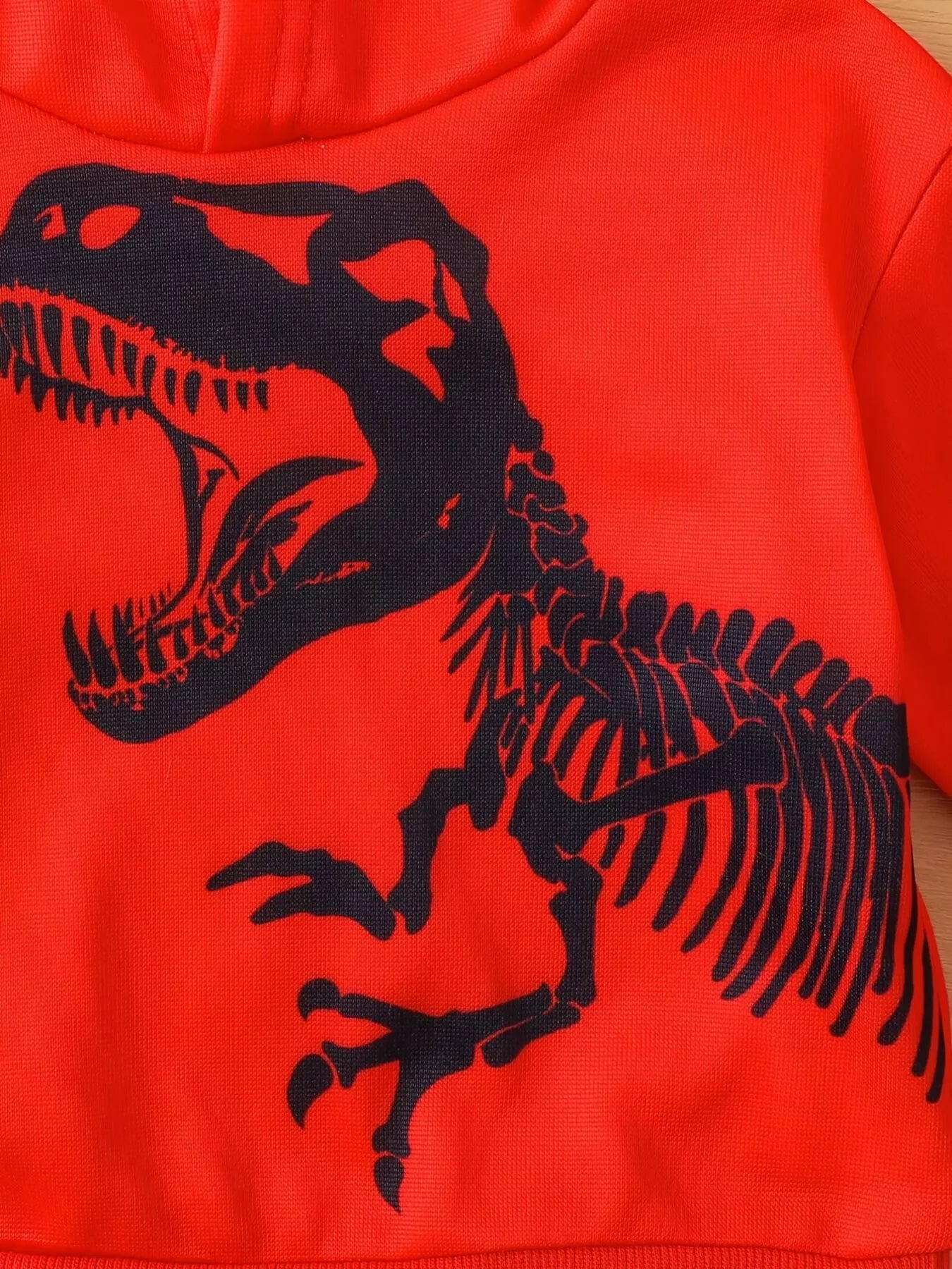 Children's Dinosaur Long Sleeve Hoodie and Pants Set 