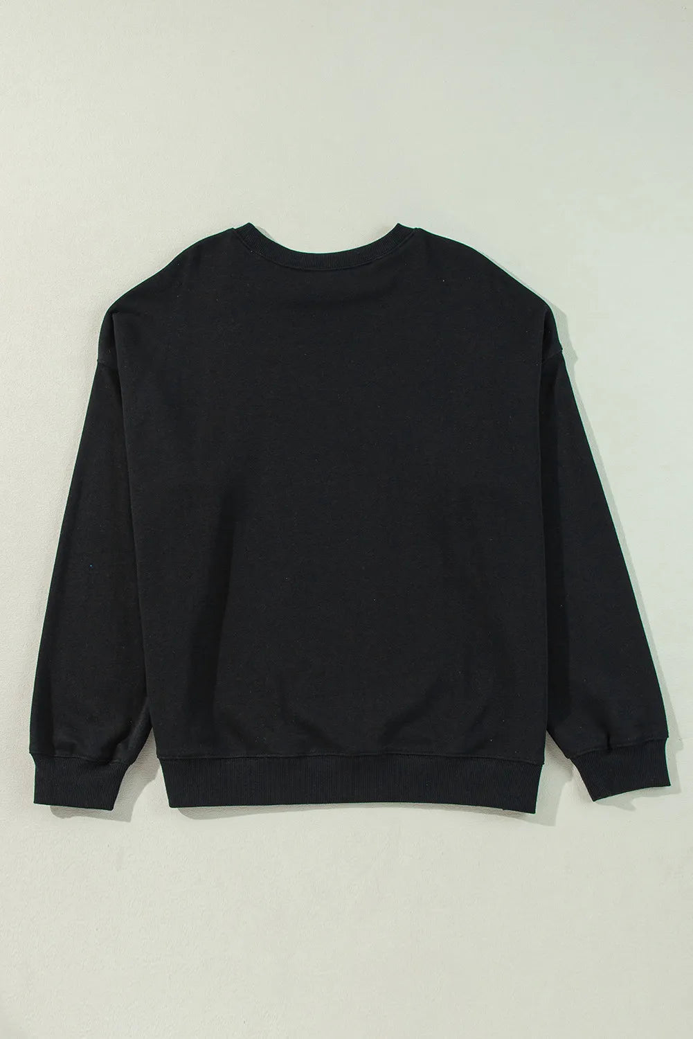 Plus Size Round Neck Long Sleeve Sweatshirt 