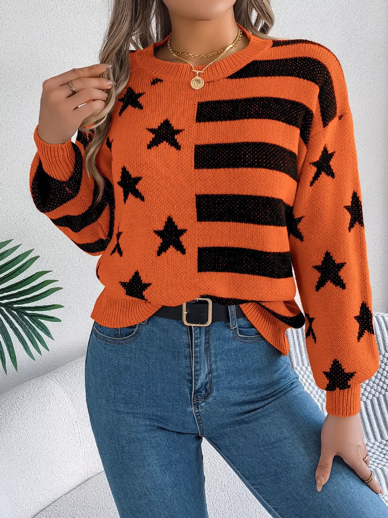 Stars and Stripes Pattern Casual Round Neck Sweater 