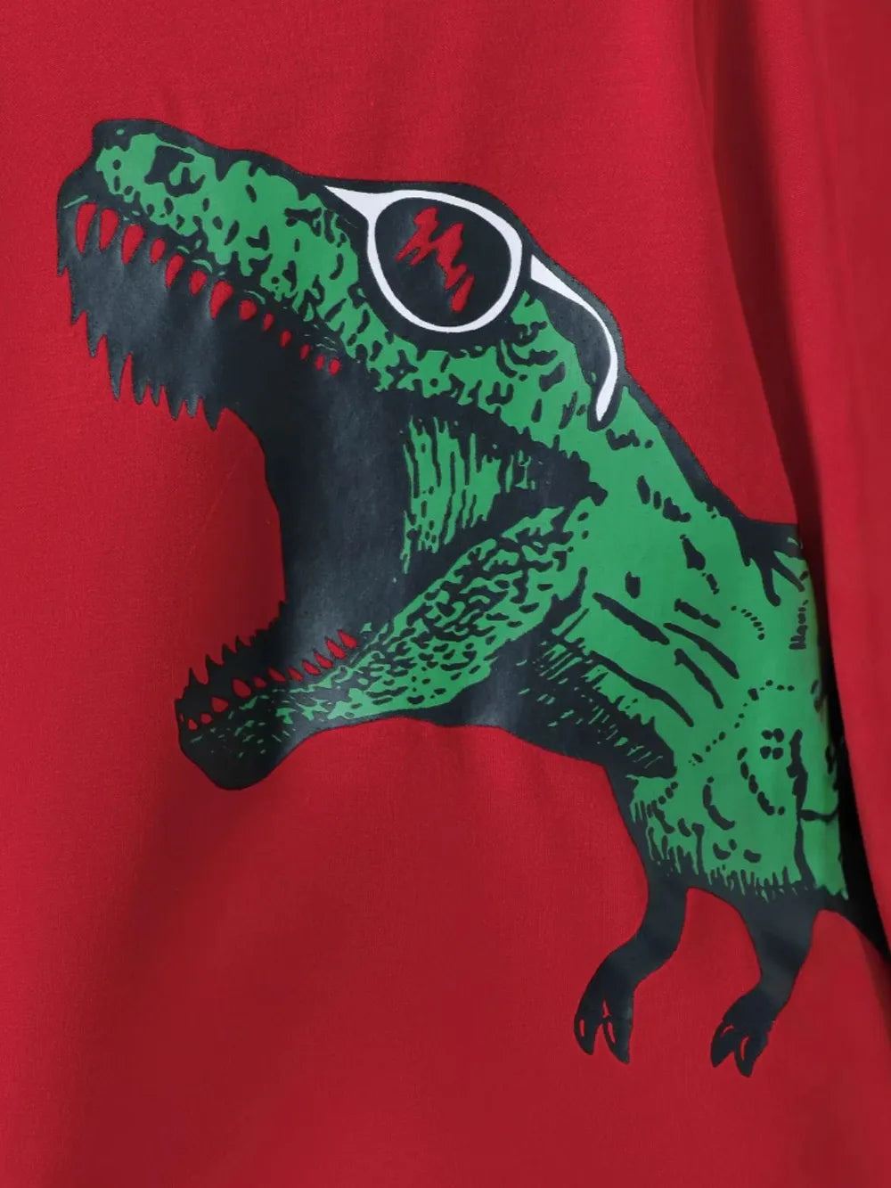 Dinosaur Round Neck Long Sleeve Top and Distressed Pants Set 