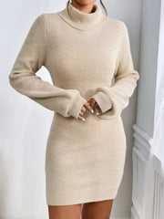 Turtleneck Ribbed Knit Sweater Dress 