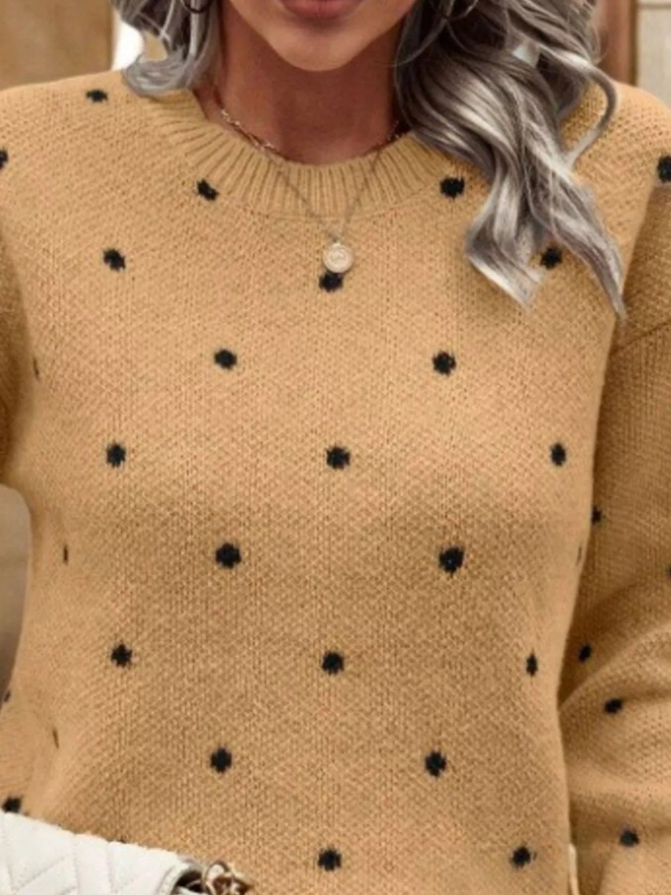 Polka Dot Round Neck Sweater 
