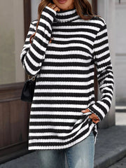 Striped Turtleneck Long Sleeve Knit Top 