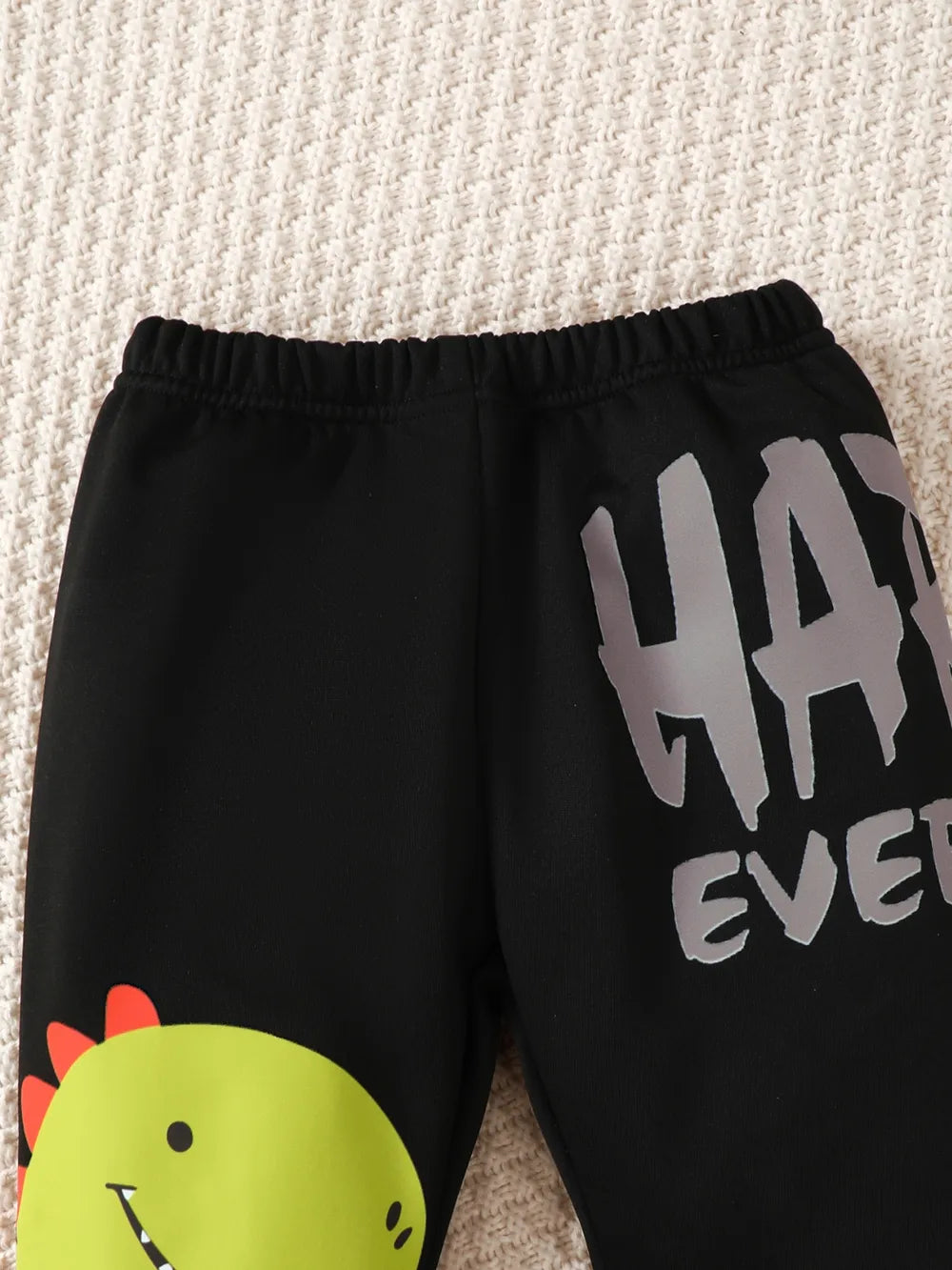Children's Dinosaur Graphic Sweatshirt and Pants Set 