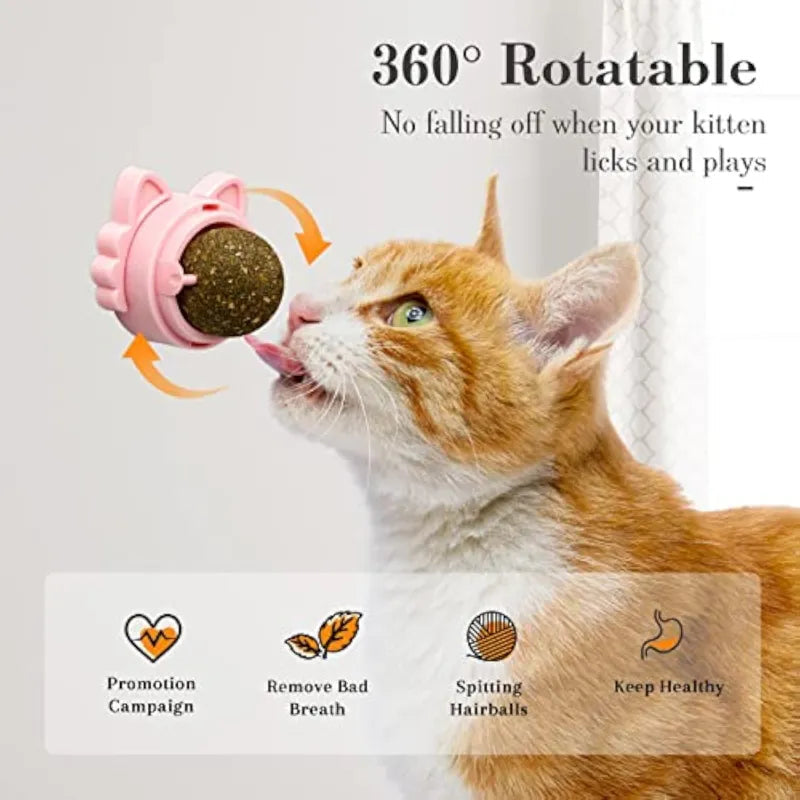 Catnip Balls Cat Treats: Fun, Healthy, and Irresistible for Your Cat 🐾 (3pcs) 