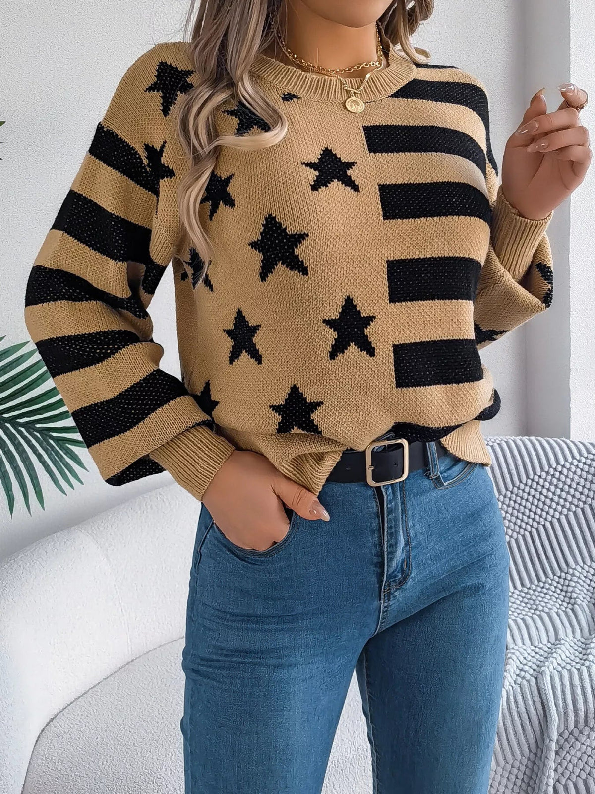 Stars and Stripes Pattern Casual Round Neck Sweater 