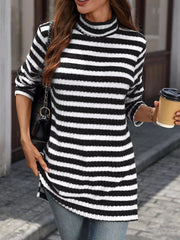 Striped Turtleneck Long Sleeve Knit Top 
