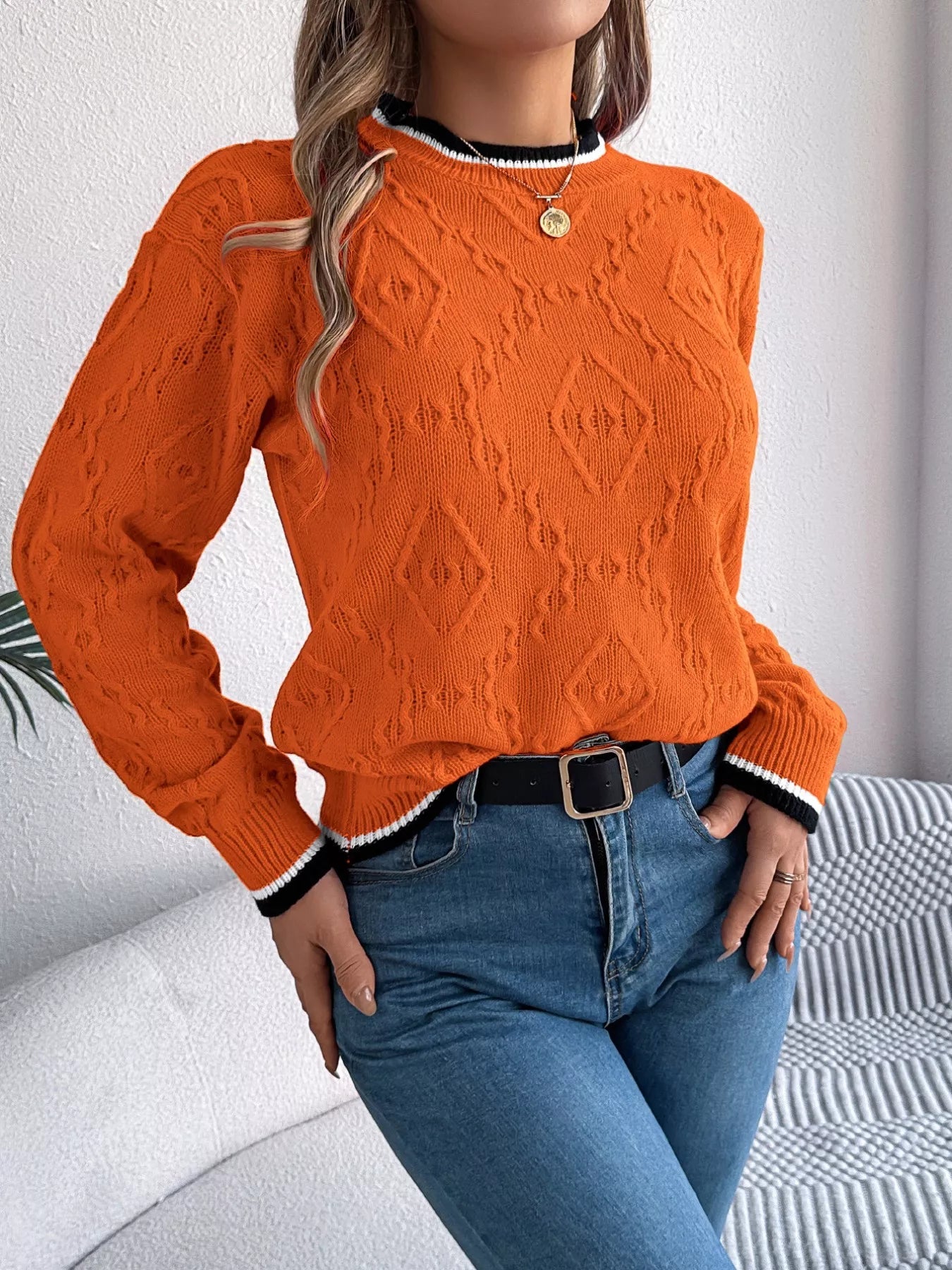 Contrast Trim Round Neck Sweater 