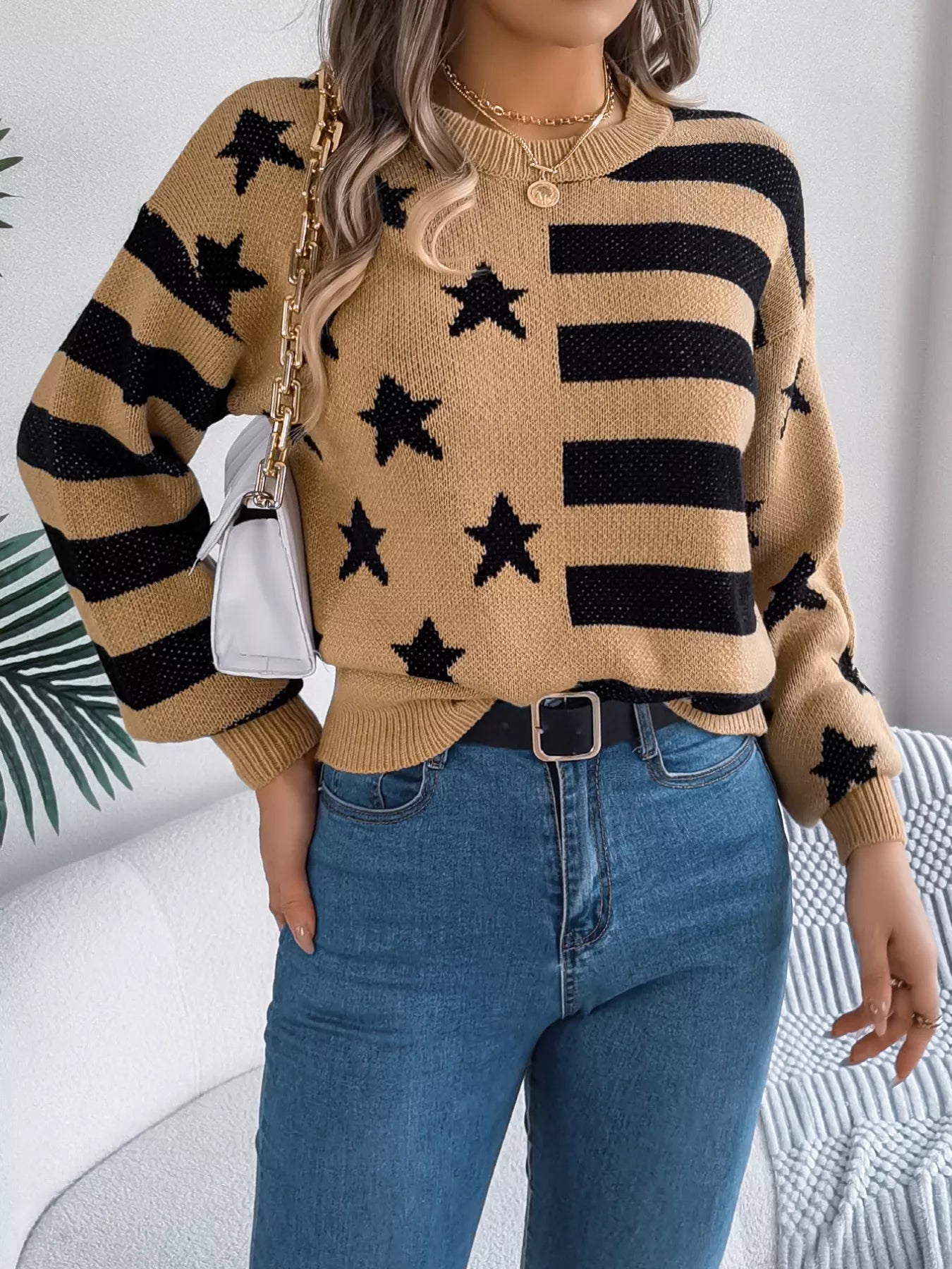 Stars and Stripes Pattern Casual Round Neck Sweater 