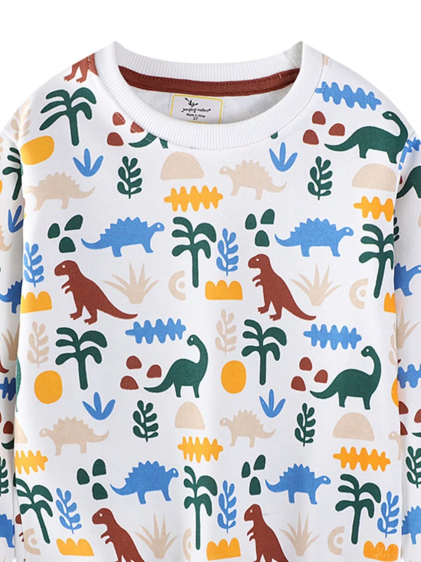 Children's Dinosaur Print Crew Neck Sweatshirt 