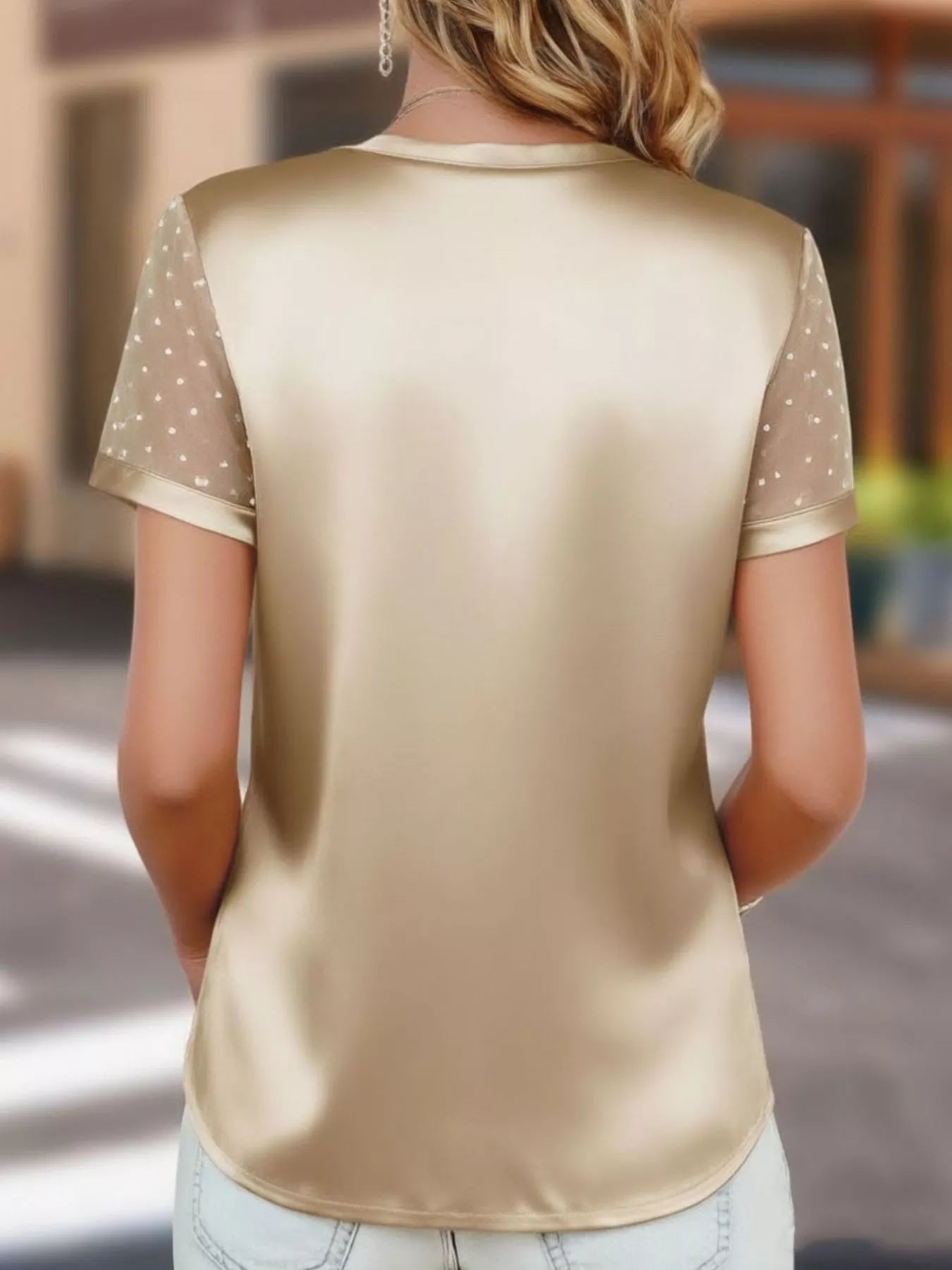 Sheer Sleeve V-Neck Top 