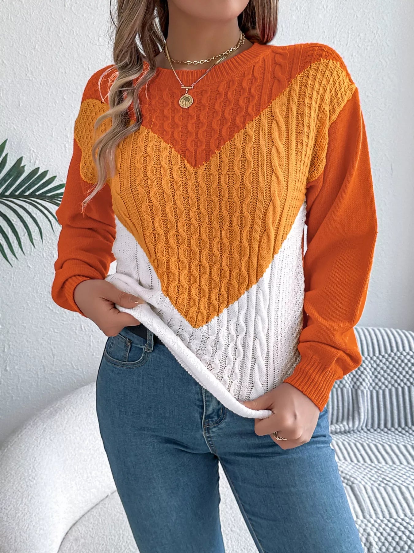 Color Block Cable Knit Sweater 
