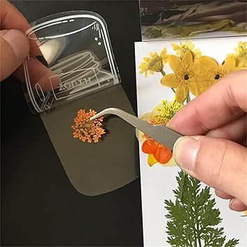 BlossomTabs DIY Transparent Bookmarks (Set of 80 Pcs) 