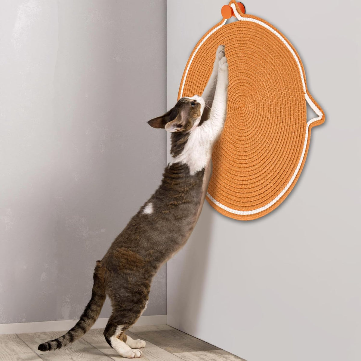 ClawMat | Protects Furniture While Entertaining Your Cat 