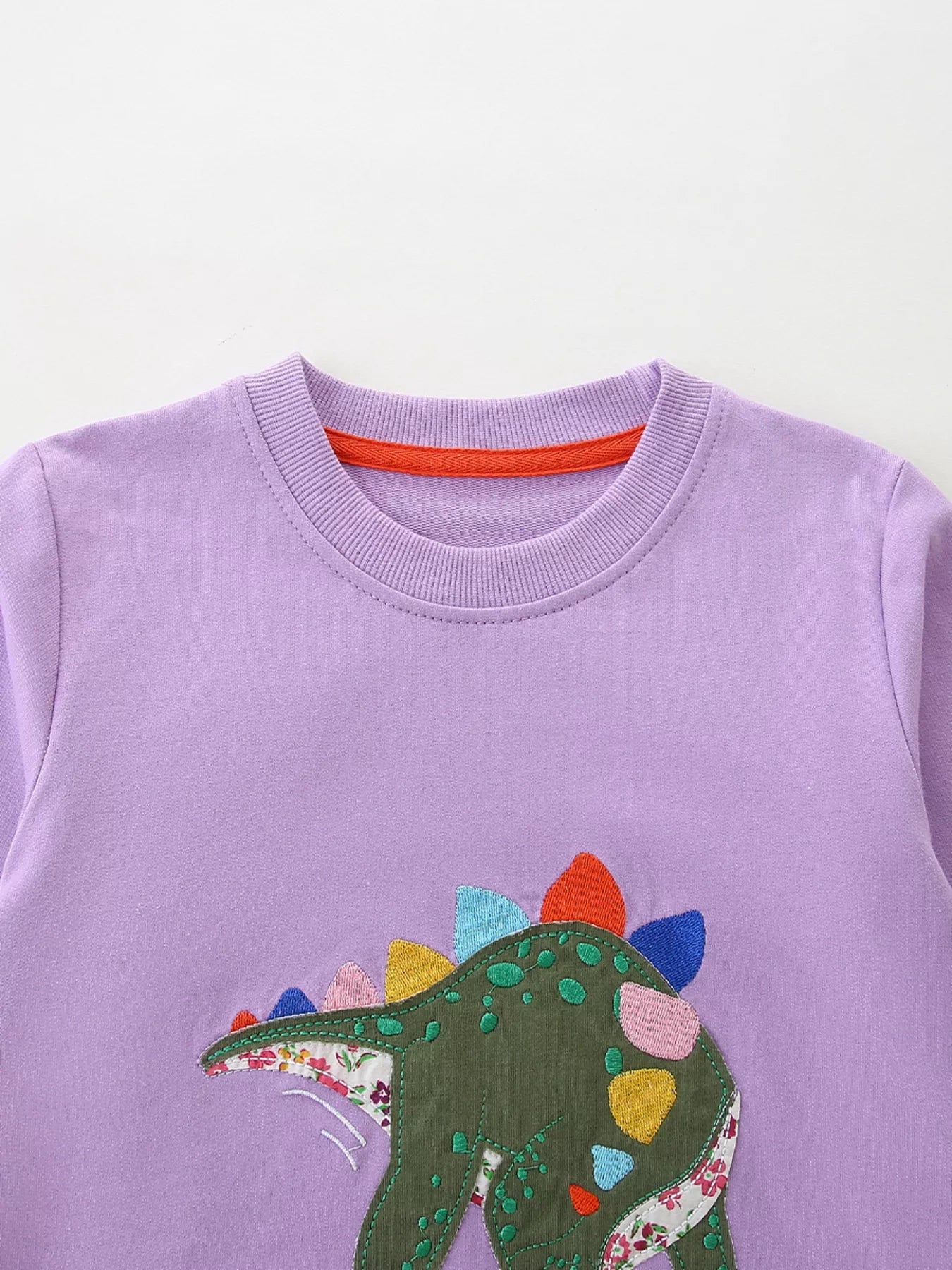Children's Dinosaur Graphic Round Neck Sweatshirt 