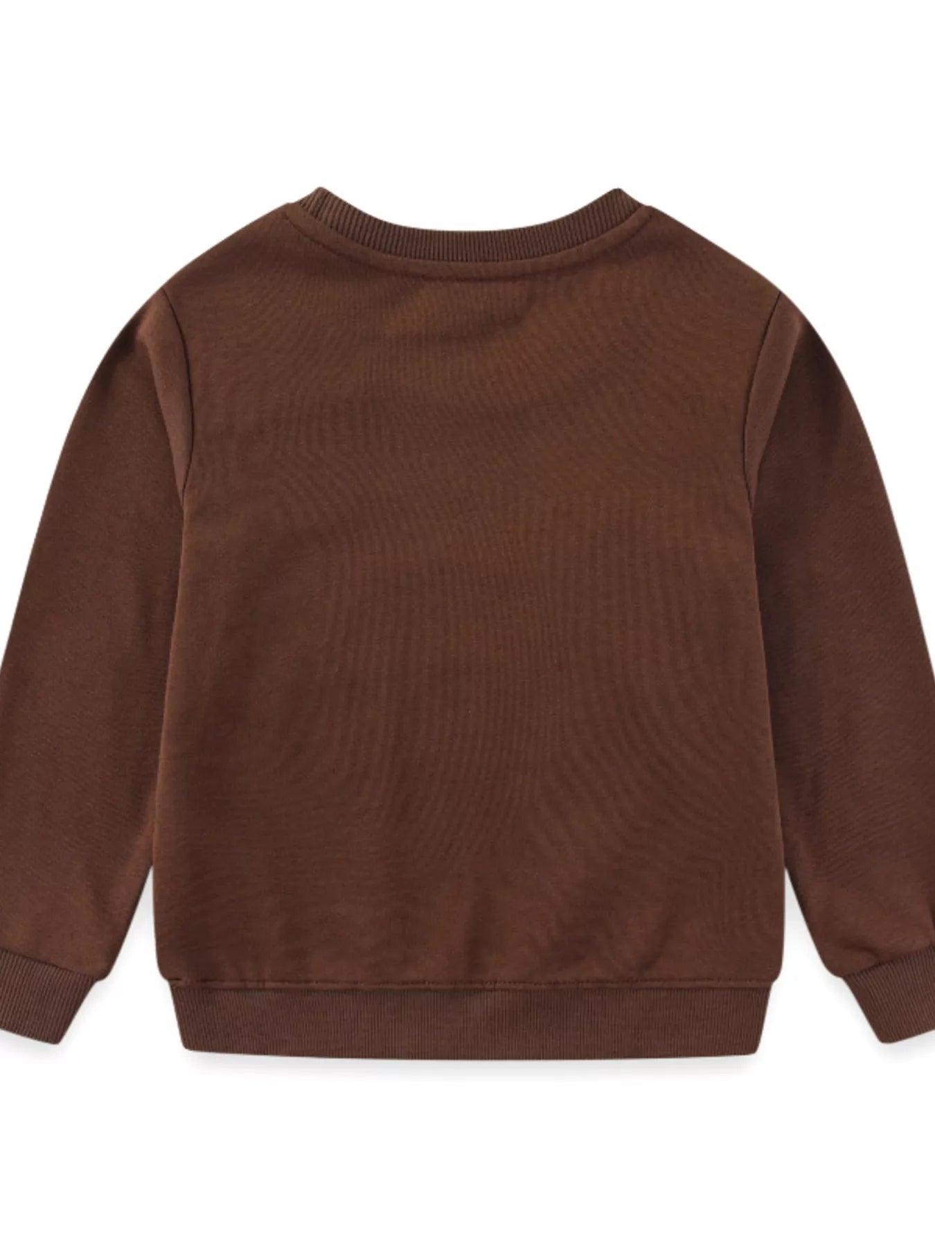 Children's Dinosaur Embroidered Crew Neck Sweatshirt 