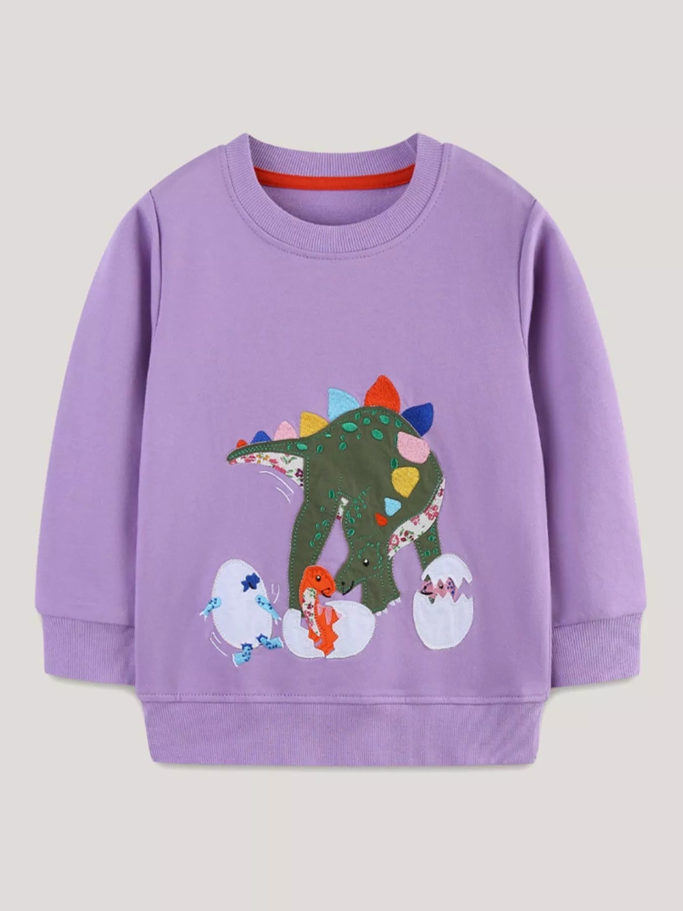 Children's Dinosaur Graphic Round Neck Sweatshirt 