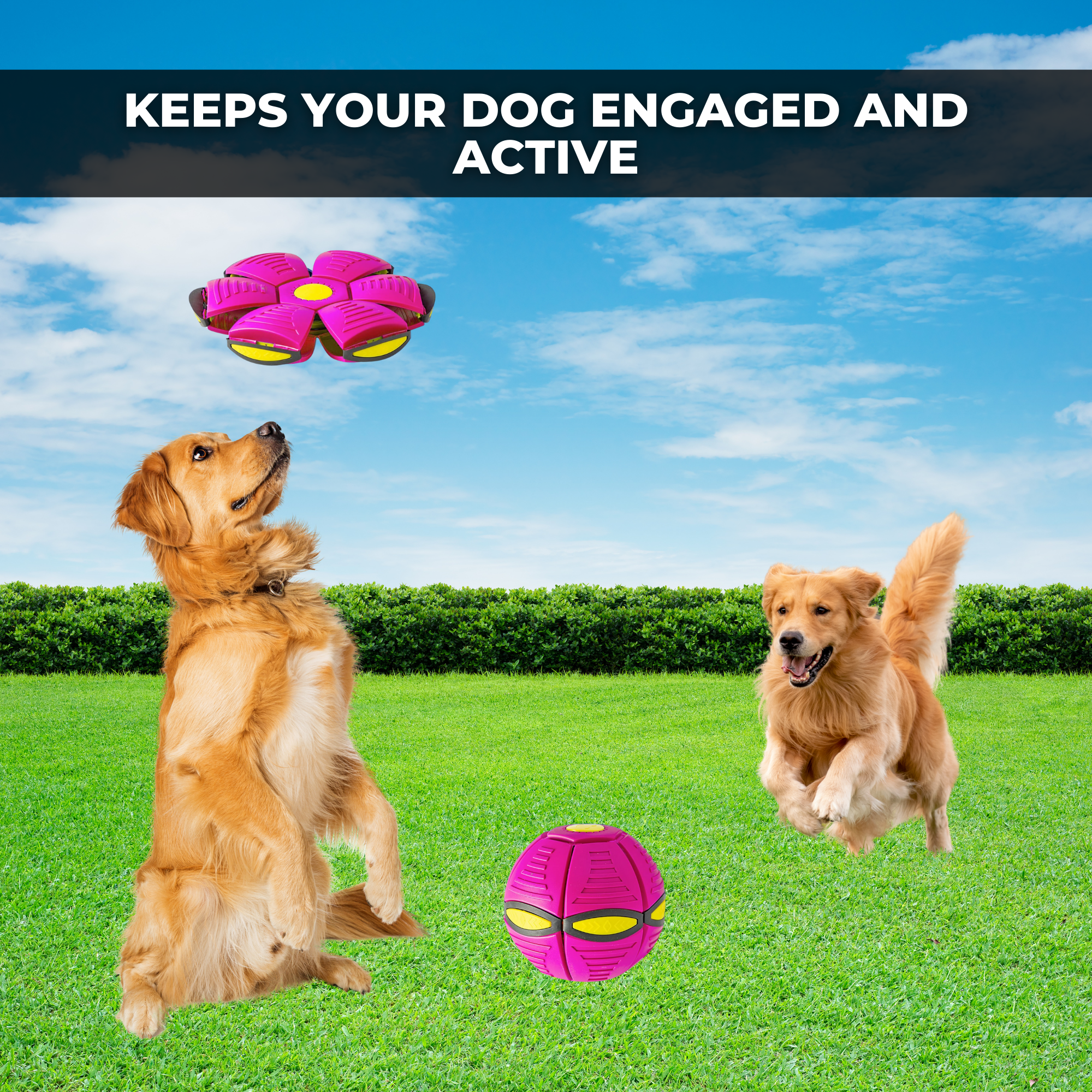 Balleap Interactive Flying Dog Toy 